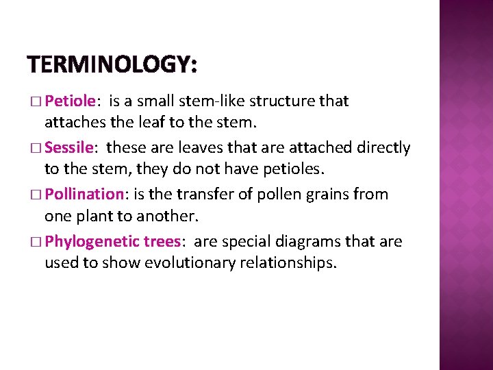 TERMINOLOGY: � Petiole: is a small stem-like structure that attaches the leaf to the
