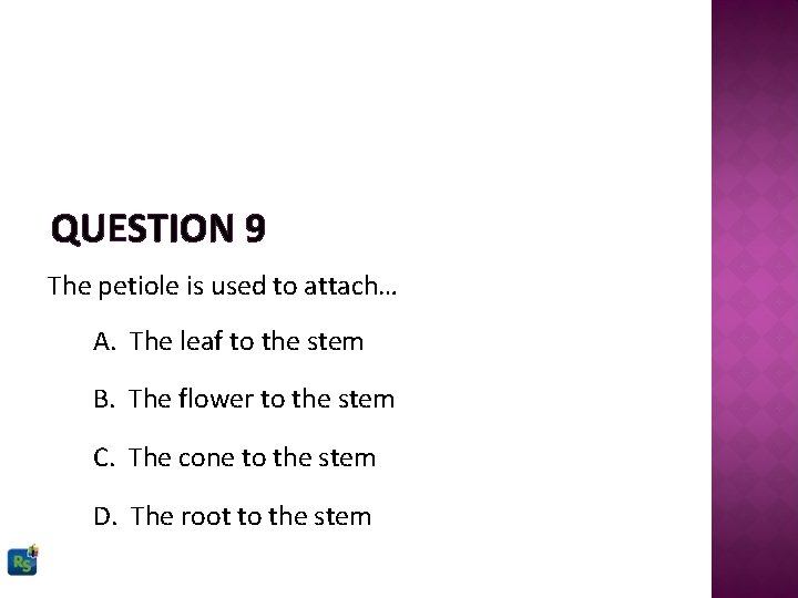 QUESTION 9 The petiole is used to attach… A. The leaf to the stem