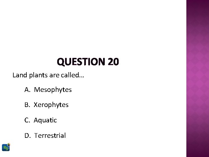 QUESTION 20 Land plants are called… A. Mesophytes B. Xerophytes C. Aquatic D. Terrestrial