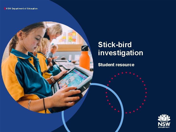 NSW Department of Education Stick-bird investigation Student resource 