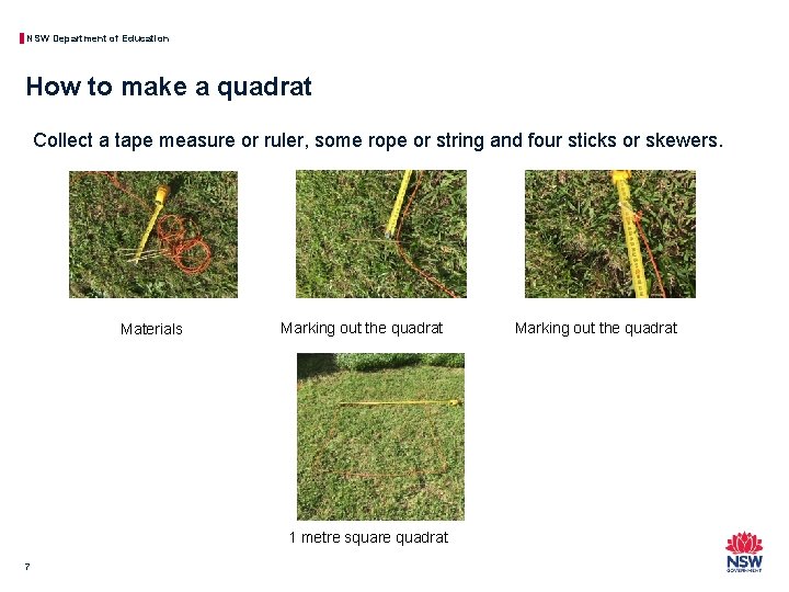 NSW Department of Education How to make a quadrat Collect a tape measure or