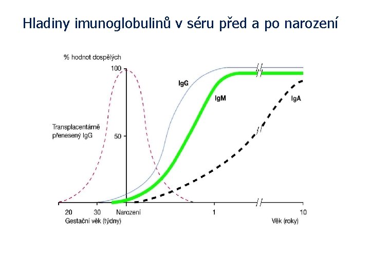 Hladiny imunoglobulinů v séru před a po narození 