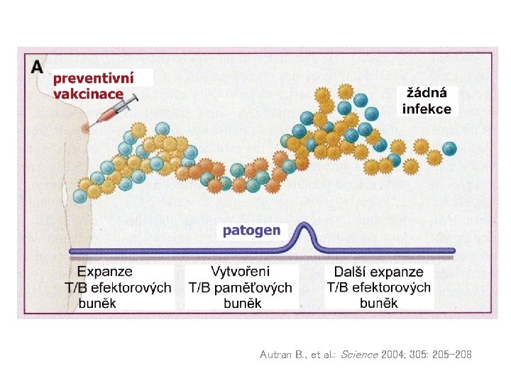 Autran B. , et al. : Science 2004; 305: 205 -208 