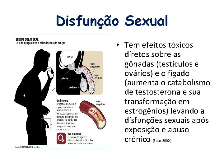 Disfunção Sexual • Tem efeitos tóxicos diretos sobre as gônadas (testículos e ovários) e