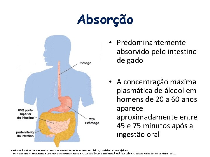 Absorção • Predominantemente absorvido pelo intestino delgado • A concentração máxima plasmática de álcool