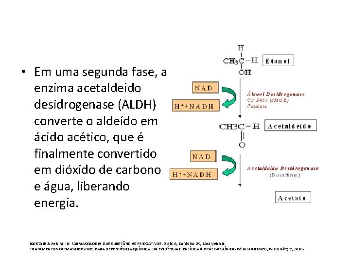  • Em uma segunda fase, a enzima acetaldeido desidrogenase (ALDH) converte o aldeído