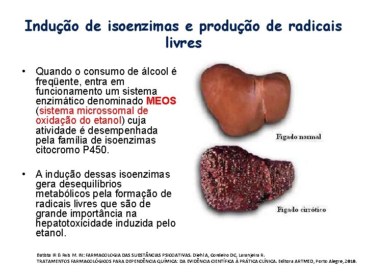 Indução de isoenzimas e produção de radicais livres • Quando o consumo de álcool