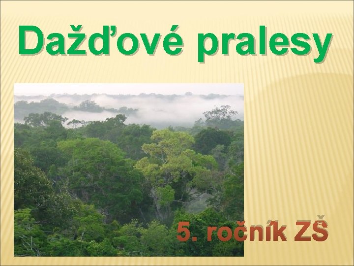 Dažďové pralesy 5. ročník ZŠ 