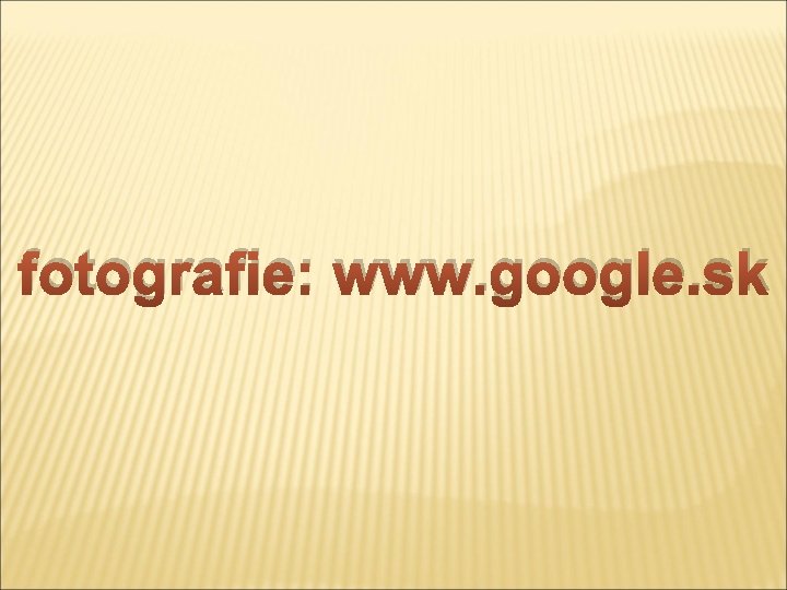 fotografie: www. google. sk 