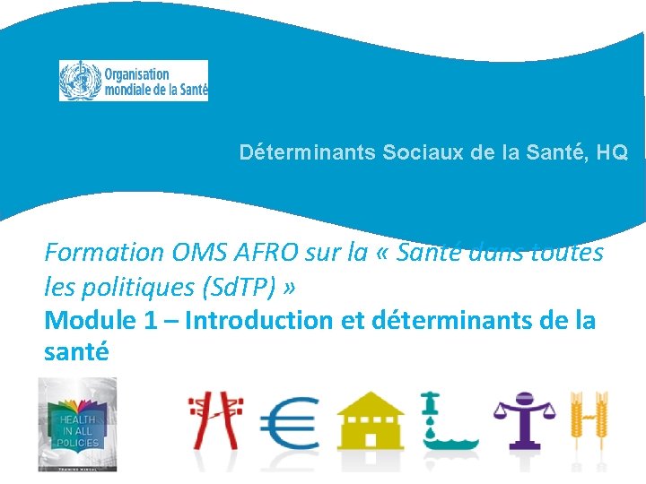 Déterminants Sociaux de la Santé, HQ Formation OMS AFRO sur la « Santé dans