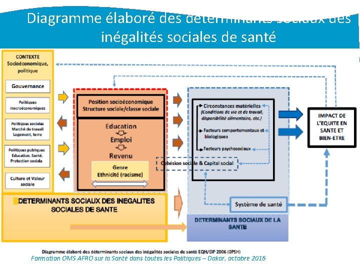 Diagramme élaboré des déterminants sociaux des inégalités sociales de santé Formation OMS AFRO sur