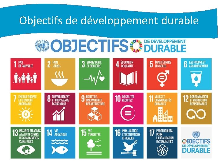 Objectifs de développement durable Formation OMS AFRO sur la Santé dans toutes les Politiques