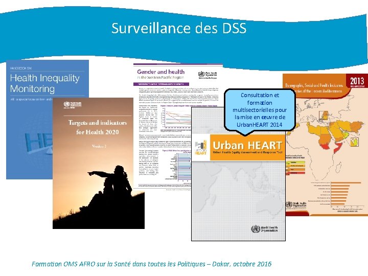 Surveillance des DSS Consultation et formation multisectorielles pour la mise en œuvre de Urban.
