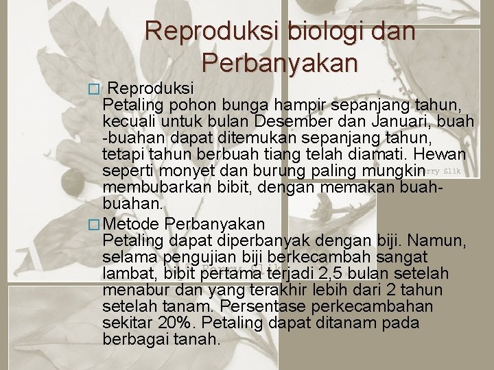 Reproduksi biologi dan Perbanyakan Reproduksi Petaling pohon bunga hampir sepanjang tahun, kecuali untuk bulan