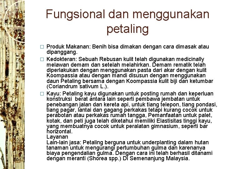 Fungsional dan menggunakan petaling Produk Makanan: Benih bisa dimakan dengan cara dimasak atau dipanggang.