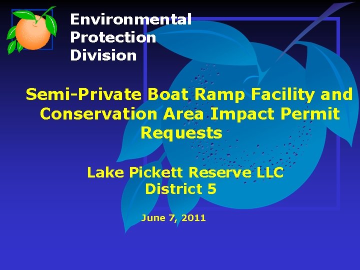 Environmental Protection Division Semi-Private Boat Ramp Facility and Conservation Area Impact Permit Requests Lake
