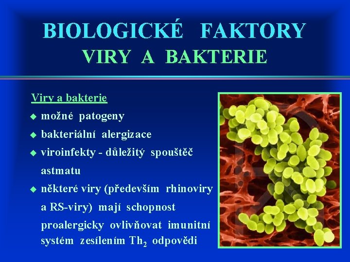 BIOLOGICKÉ FAKTORY VIRY A BAKTERIE Viry a bakterie u možné patogeny u bakteriální alergizace