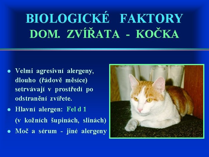 BIOLOGICKÉ FAKTORY DOM. ZVÍŘATA - KOČKA l Velmi agresivní alergeny, dlouho (řádově měsíce) setrvávají