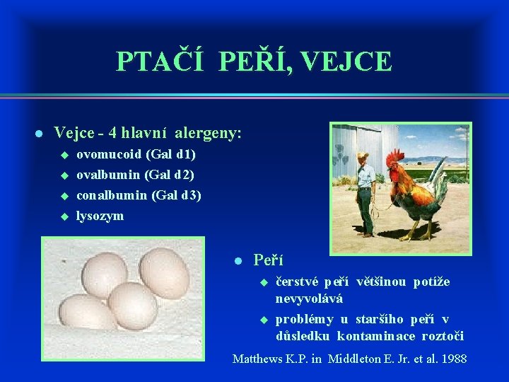 PTAČÍ PEŘÍ, VEJCE l Vejce - 4 hlavní alergeny: u u ovomucoid (Gal d