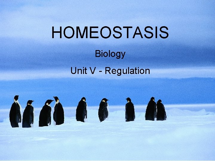 HOMEOSTASIS Biology Unit V - Regulation 