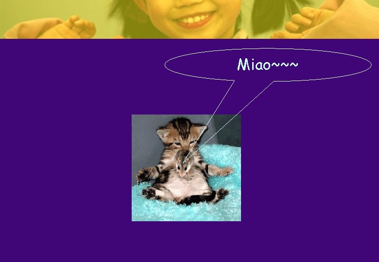 Miao~~~ Miao~~~