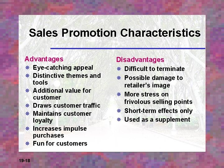 Sales Promotion Characteristics Advantages Disadvantages ¯ Eye-catching appeal ¯ Distinctive themes and tools ¯