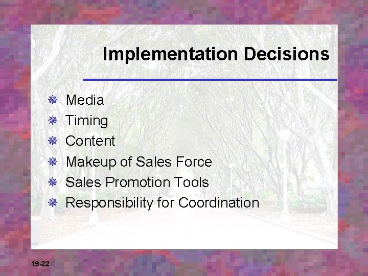 Implementation Decisions ¯ ¯ ¯ 19 -22 Media Timing Content Makeup of Sales Force