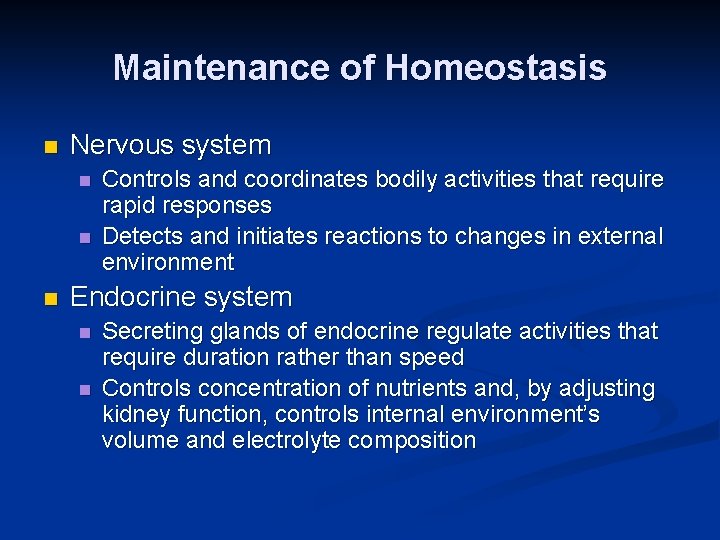 Maintenance of Homeostasis n Nervous system n n n Controls and coordinates bodily activities