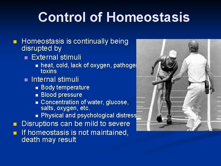 Control of Homeostasis n Homeostasis is continually being disrupted by n External stimuli n