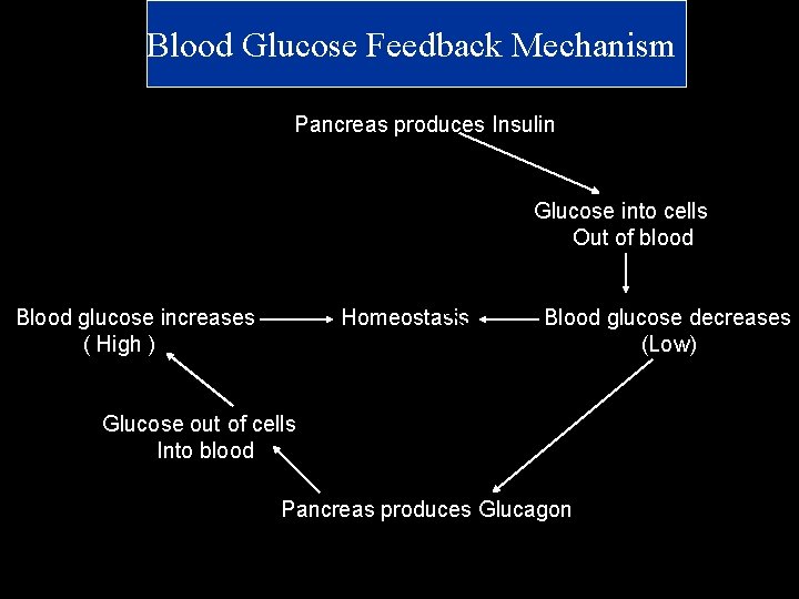 Blood Glucose Feedback Mechanism Pancreas produces Insulin Glucose into cells Out of blood Blood