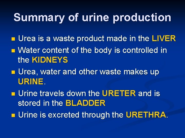 Summary of urine production Urea is a waste product made in the LIVER n