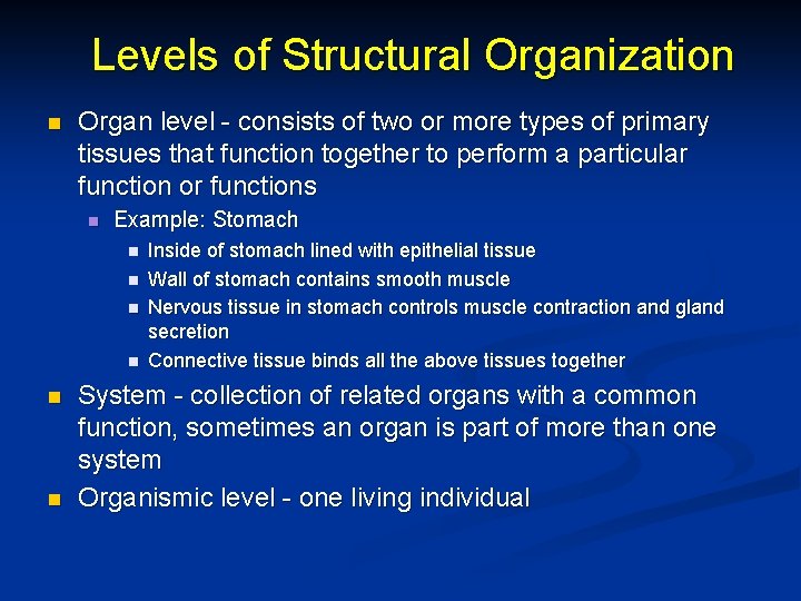 Levels of Structural Organization n Organ level - consists of two or more types