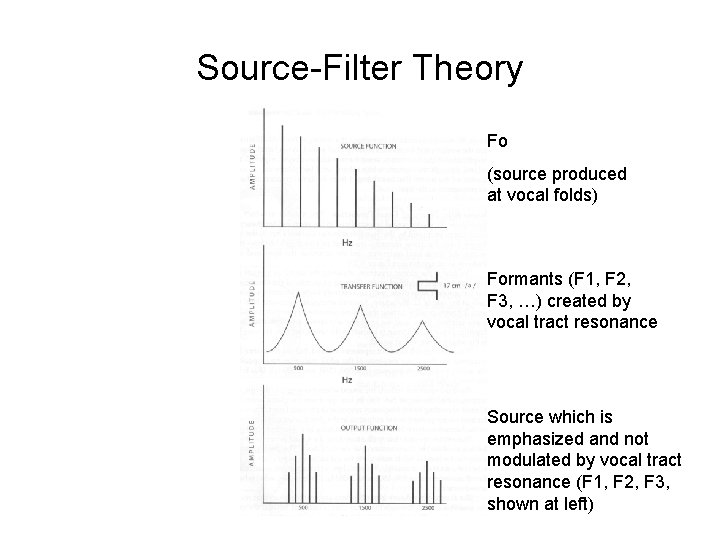 Source-Filter Theory Fo (source produced at vocal folds) Formants (F 1, F 2, F