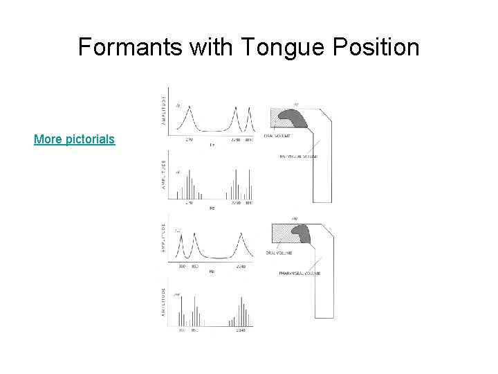 Formants with Tongue Position More pictorials 