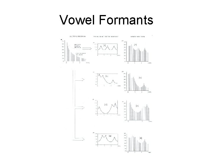 Vowel Formants 