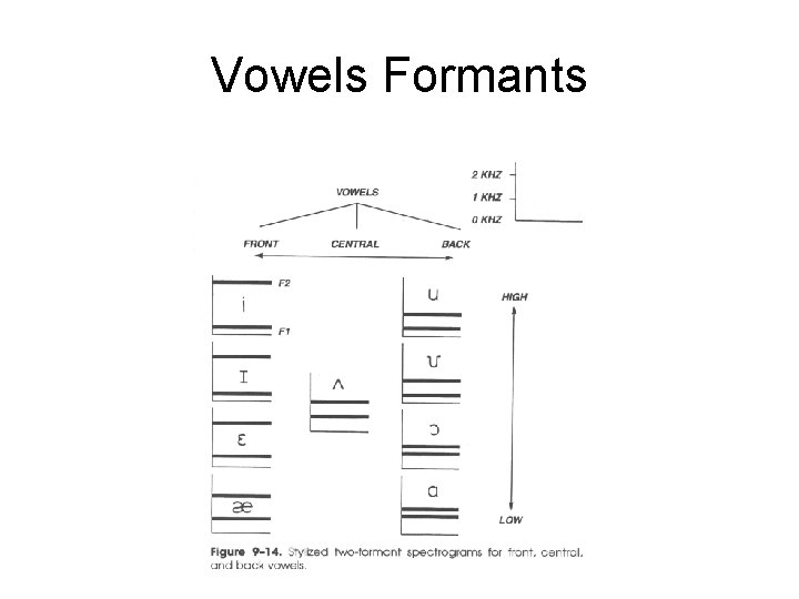 Vowels Formants 