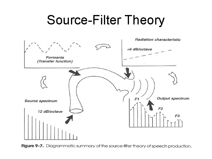 Source-Filter Theory 