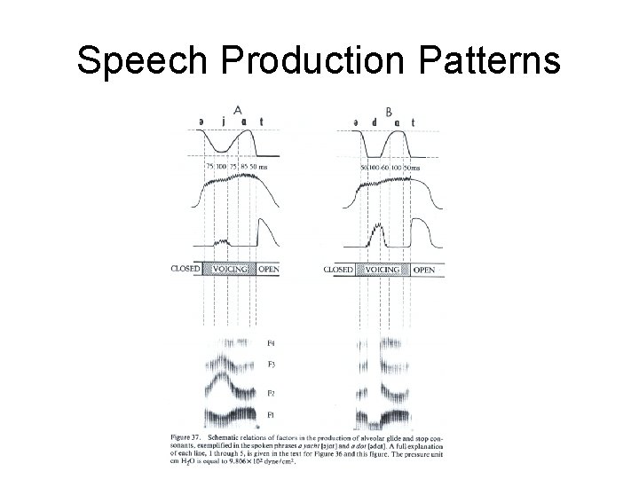 Speech Production Patterns 