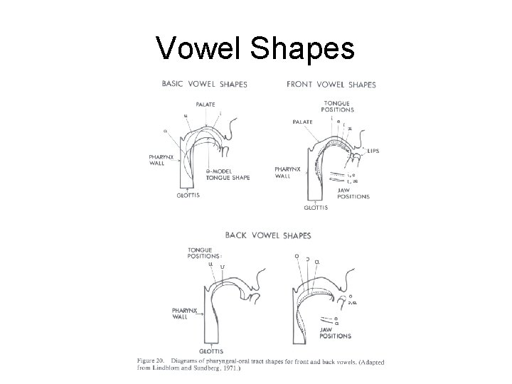 Vowel Shapes 