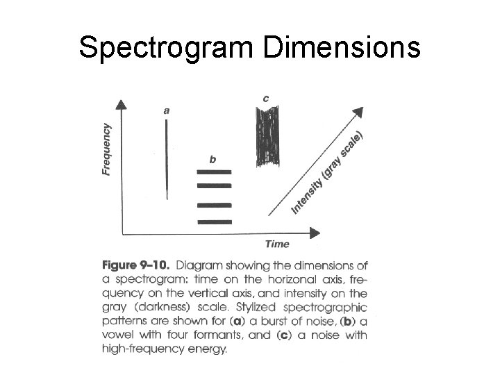 Spectrogram Dimensions 