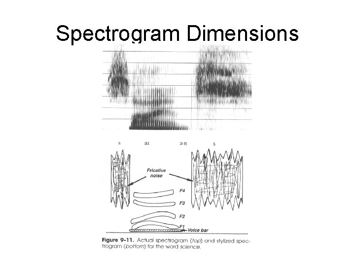 Spectrogram Dimensions 