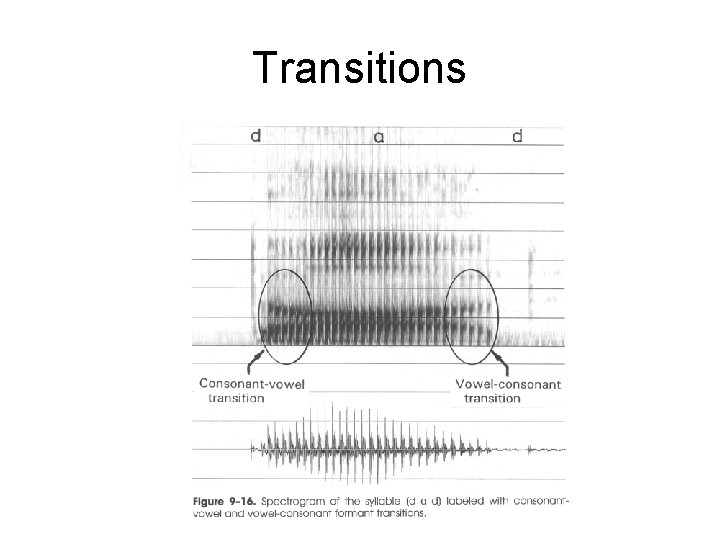 Transitions 