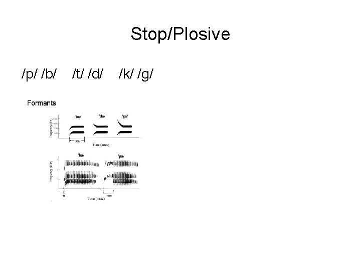 Stop/Plosive /p/ /b/ /t/ /d/ /k/ /g/ 