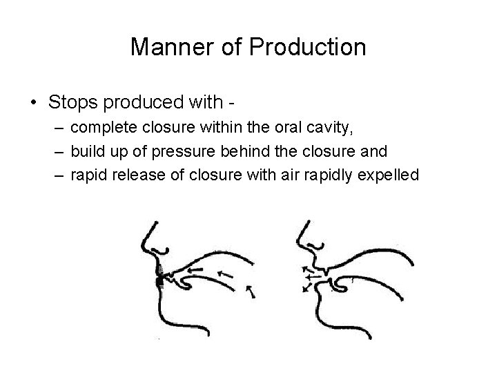 Manner of Production • Stops produced with – complete closure within the oral cavity,