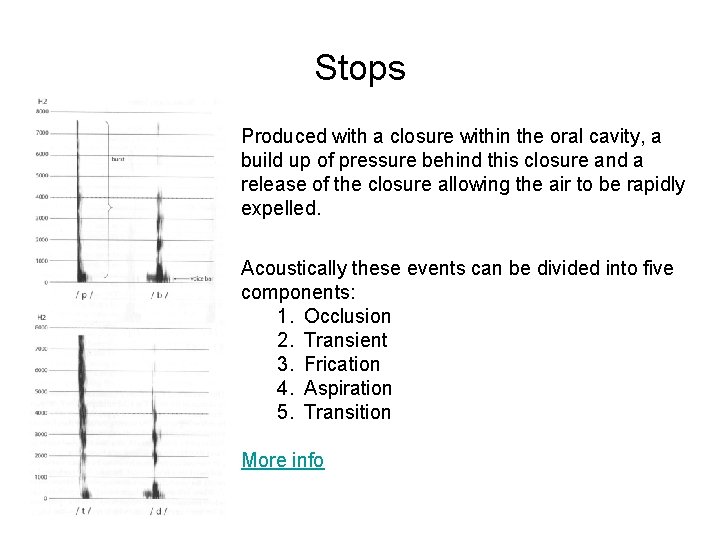 Stops Produced with a closure within the oral cavity, a build up of pressure