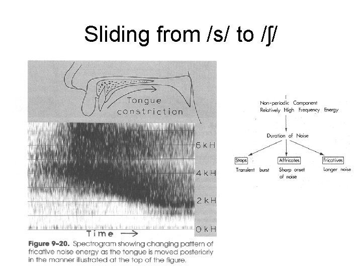Sliding from /s/ to /ʃ/ 