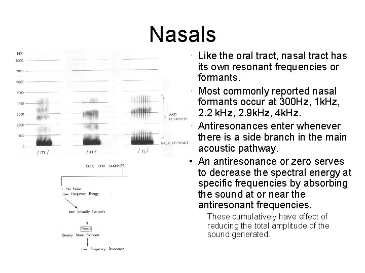 Nasals • Like the oral tract, nasal tract has its own resonant frequencies or