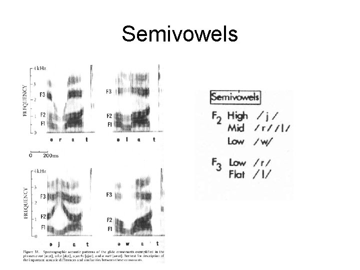 Semivowels 