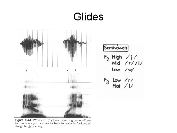 Glides 