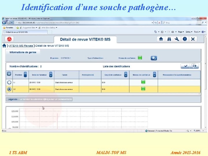 Identification d’une souche pathogène… 1 TS ABM MALDI-TOF MS Année 2015 -2016 Identification d’une souche pathogène… 1 TS ABM MALDI-TOF MS Année 2015 -2016